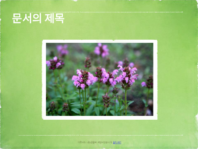 식물도감 식물도감